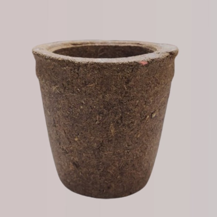 Cow Dung Flower Pot/Gamla