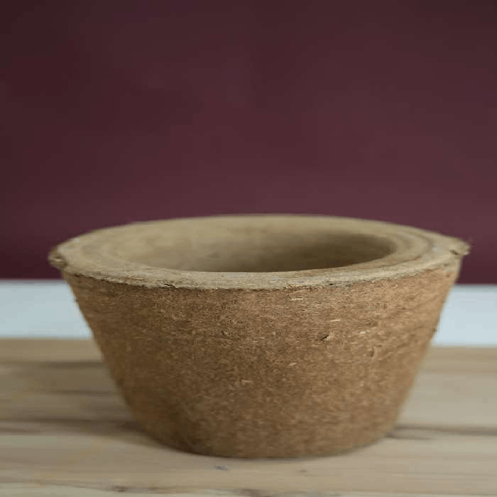 Devatri Eco Planter Biodegradable Cow Dung Flower Pot for Sustainable Gardening